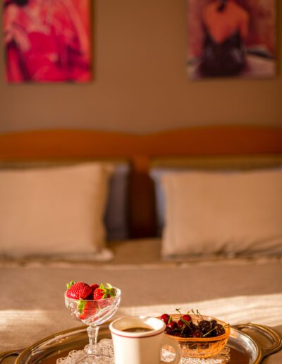 Villa Mazourka-Rosemary suite