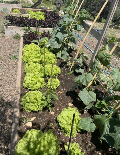 Εστιατόριο Myrtia, Ιθάκη