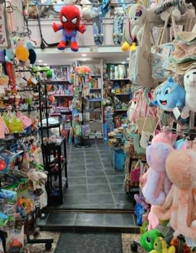 Paidiko Oneiro, Children’s Toys, Gifts, Souvenirs, Vathy, Ithaca