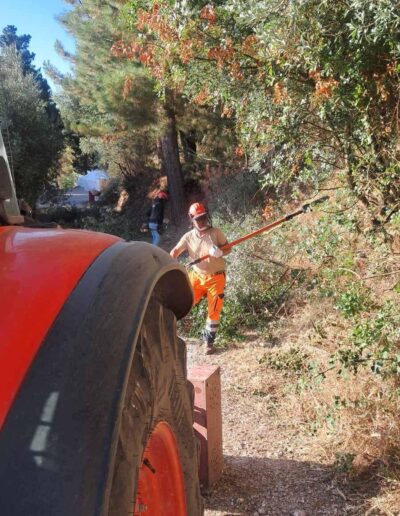 Αγροδιαχείριση Ε.Ε, εργασίες διαμόρφωσης γης, Πλατρειθιάς, Ιθάκη
